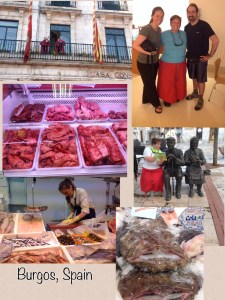 Checking out the morning sights