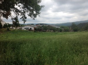 Teeny- tiny roadside place